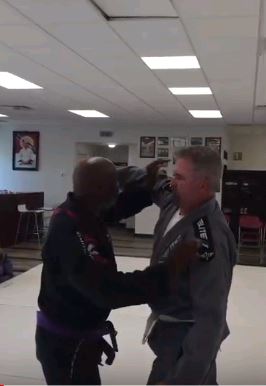 Brazilian Jiu-Jitsu Self-Defense Punch Block Hip Throw